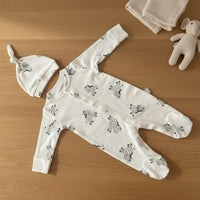 Little Zebra Sleepsuit and Hat Set