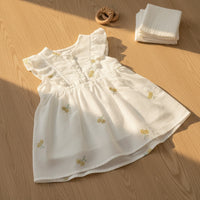 Little Daisy Embroidered Dress
