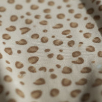 Little Leopard Hooded Sleepsuit