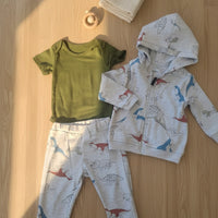 Little Dino Three Piece Set